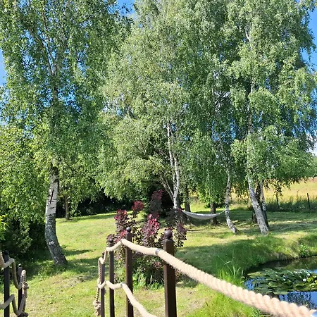 Tuterra Ii * Zabagnie (Olkusz)